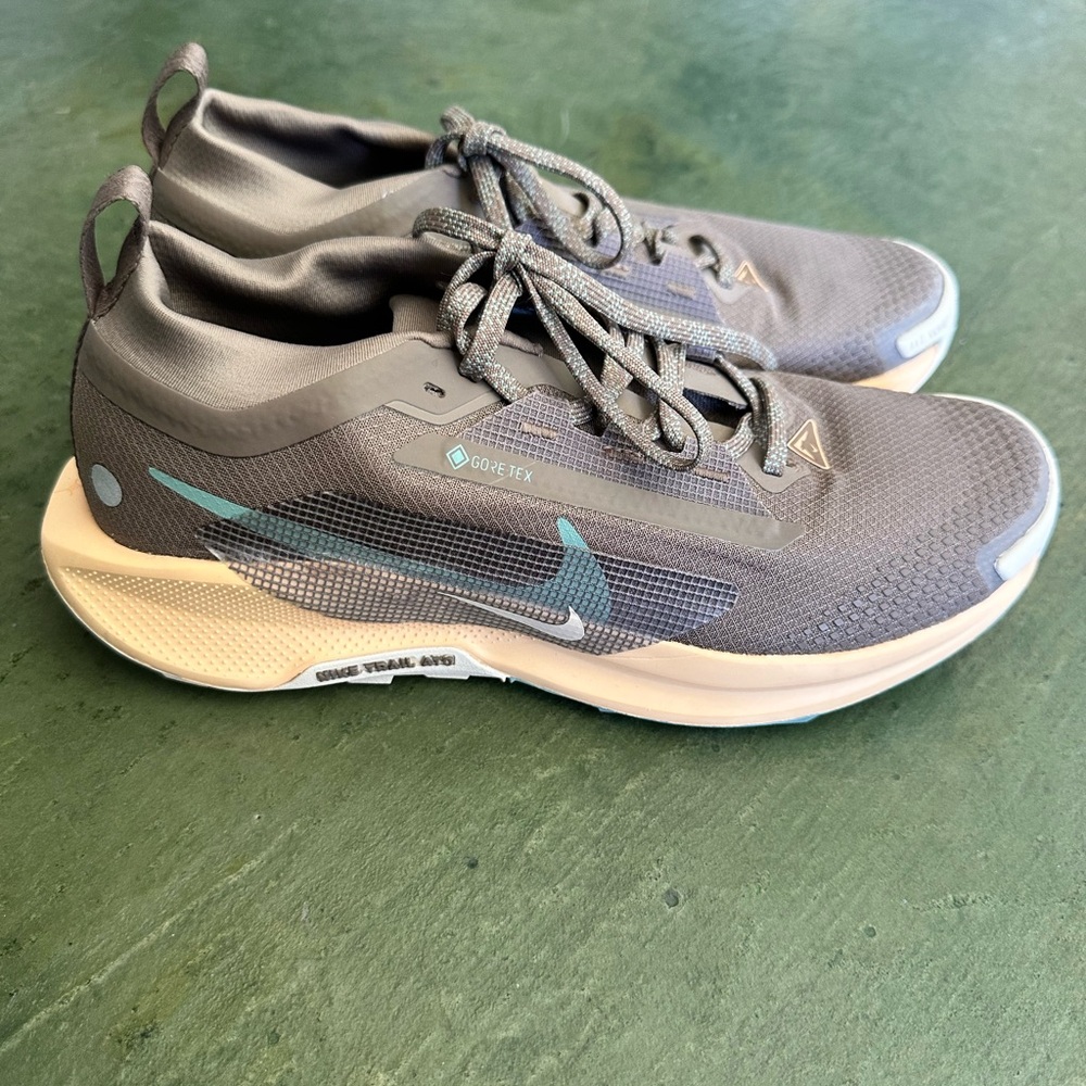 Nike Pegasus Trail 5 GORE-TEX size 9